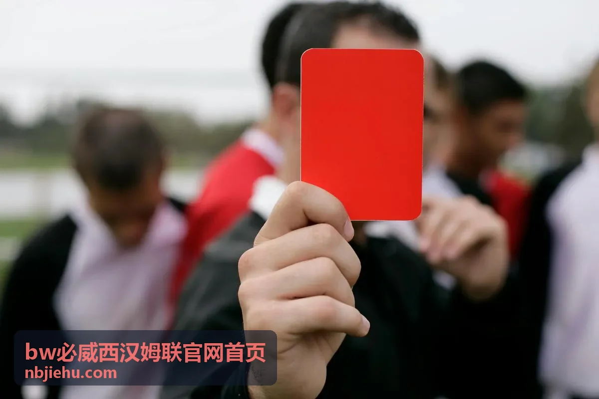 BW必威·西汉姆联 赛前观察文章配图